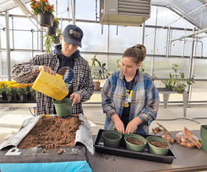 Two studnts work together in a greenhouse. One pours potting soil into a small flower pot, while the other looks on.